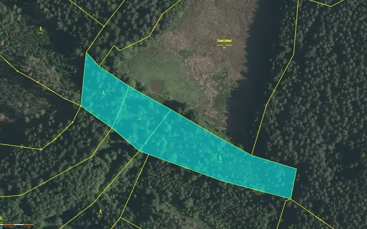 Prodej lesa, Nová Olešná, 9963 m2