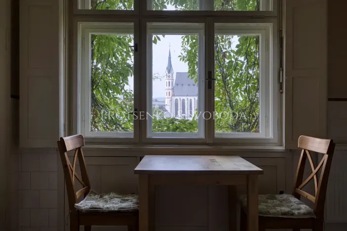 Prodej vily, Český Krumlov, Horská, 469 m2