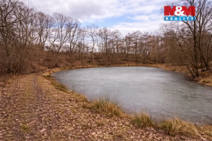 Prodej pozemku pro bydlení, Křečovice - Vlkonice, 68525 m2