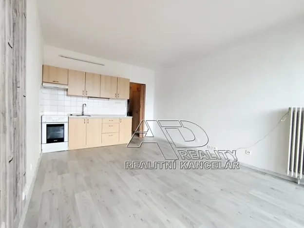 Pronájem bytu 1+kk, České Budějovice, Fr. Ondříčka, 23 m2