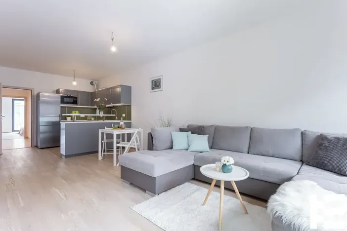 Pronájem bytu 4+kk, Praha - Žižkov, Olšanská, 107 m2