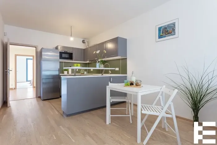 Pronájem bytu 4+kk, Praha - Žižkov, Olšanská, 107 m2