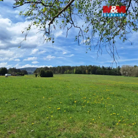 Prodej louky, Zdíkov - Masákova Lhota, 5959 m2