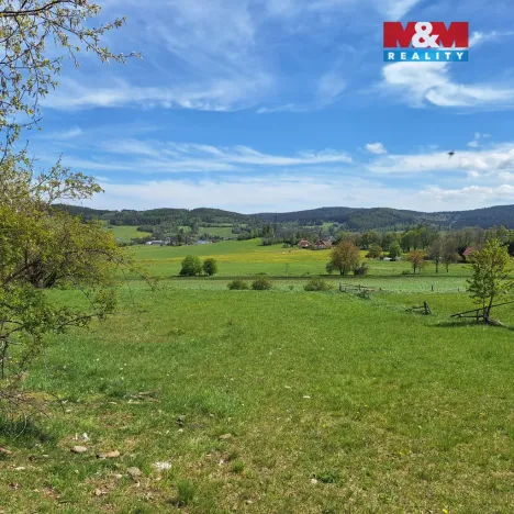 Prodej louky, Zdíkov - Masákova Lhota, 5959 m2