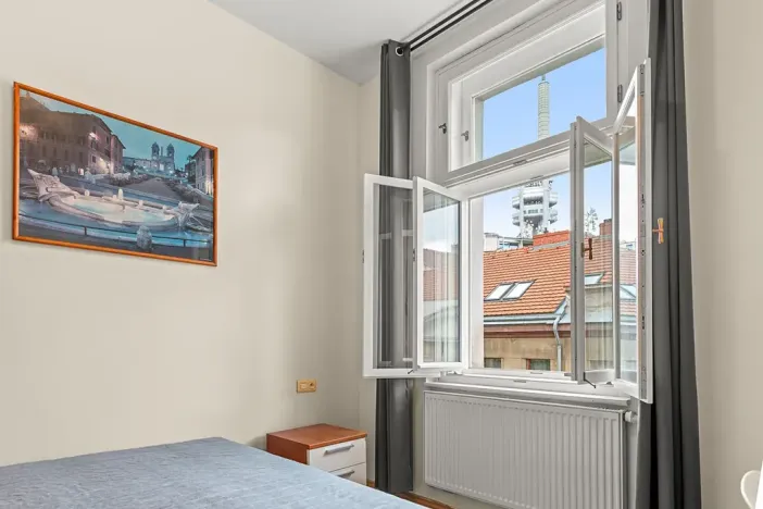 Prodej bytu 2+1, Praha - Žižkov, Bořivojova, 77 m2