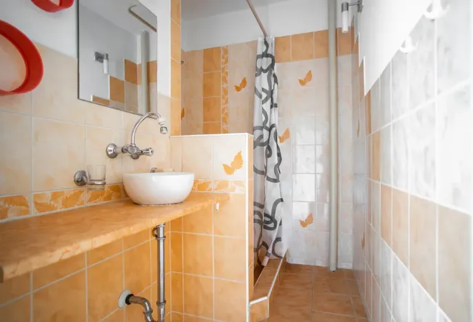 Prodej bytu 1+1, Plzeň - Jižní Předměstí, Čermákova, 39 m2