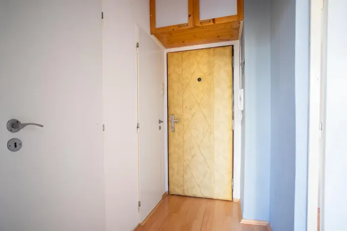 Prodej bytu 1+1, Plzeň - Jižní Předměstí, Čermákova, 39 m2