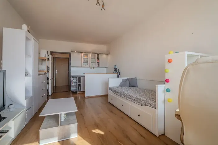 Prodej bytu 1+kk, Ostrava, Gen. Píky, 28 m2