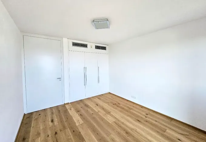 Pronájem bytu 3+kk, Praha - Smíchov, U Dívčích hradů, 123 m2