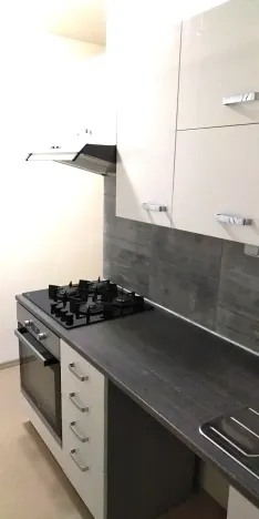 Pronájem bytu 3+1, Pardubice, Bělehradská, 60 m2