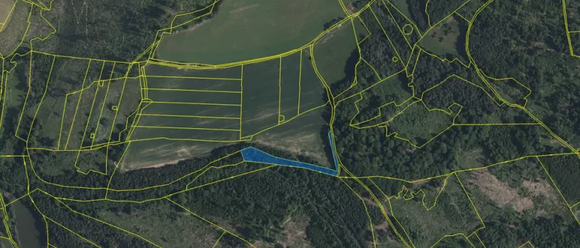 Prodej lesa, Volfířov - Brandlín, 3426 m2