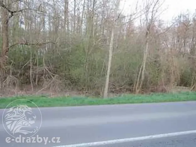 Dražba pozemku, Valtrovice, 9628 m2