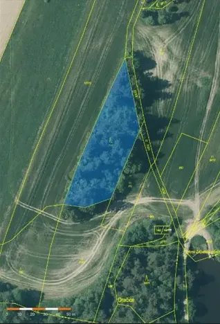 Prodej lesa, Nová Bystřice, 3201 m2