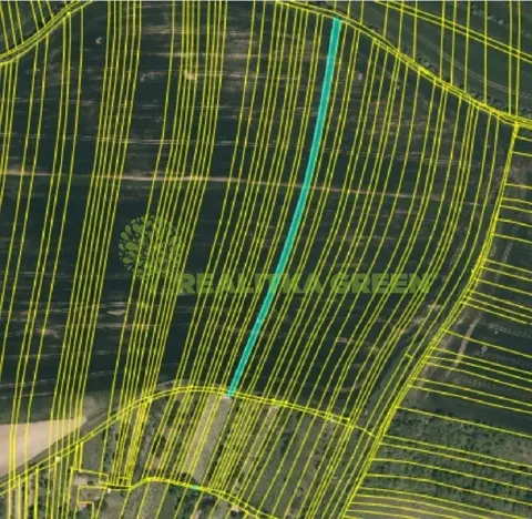 Prodej pole, Svatobořice-Mistřín, Hlavní, 8725 m2