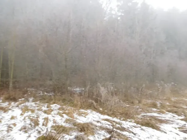 Dražba louky, Horní Planá, 3804 m2