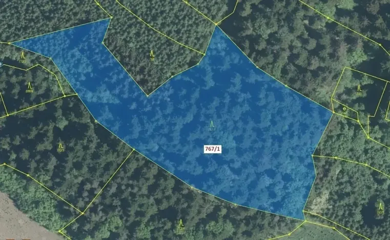 Dražba lesa, Lačnov, 12637 m2