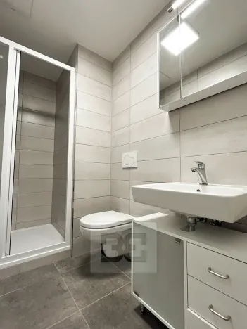 Pronájem bytu 1+kk, Plzeň, Boettingerova, 33 m2