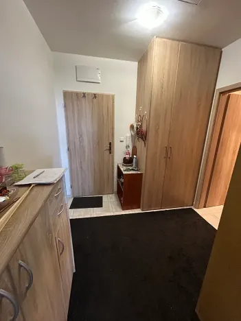 Prodej bytu 1+kk, Brno, Gajdošova, 46 m2