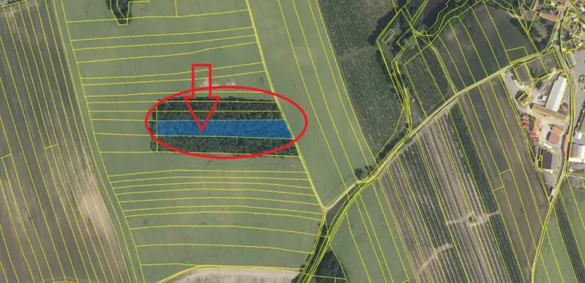 Prodej podílu lesa, Kojice, 4203 m2