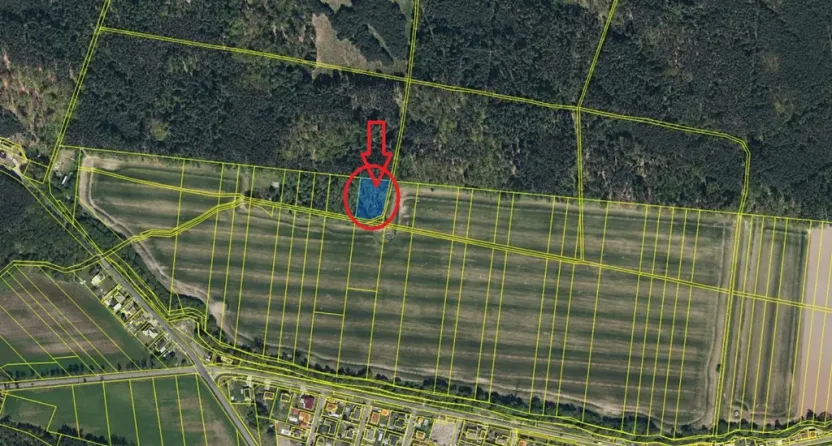 Prodej podílu lesa, Břehy, 1092 m2