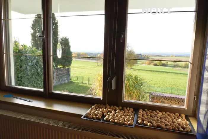 Prodej rodinného domu, Radenín, 276 m2