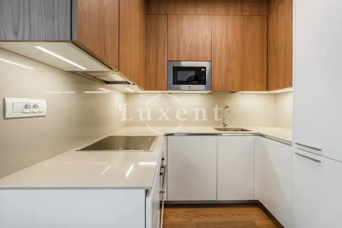 Pronájem bytu 2+kk, Praha, Holečkova, 78 m2