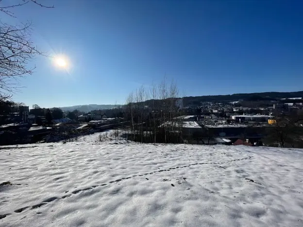 Prodej pozemku pro bydlení, Česká Třebová, 6000 m2