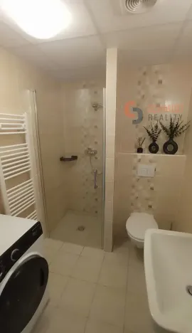 Pronájem bytu 1+kk, Šakvice, Hlavní, 32 m2