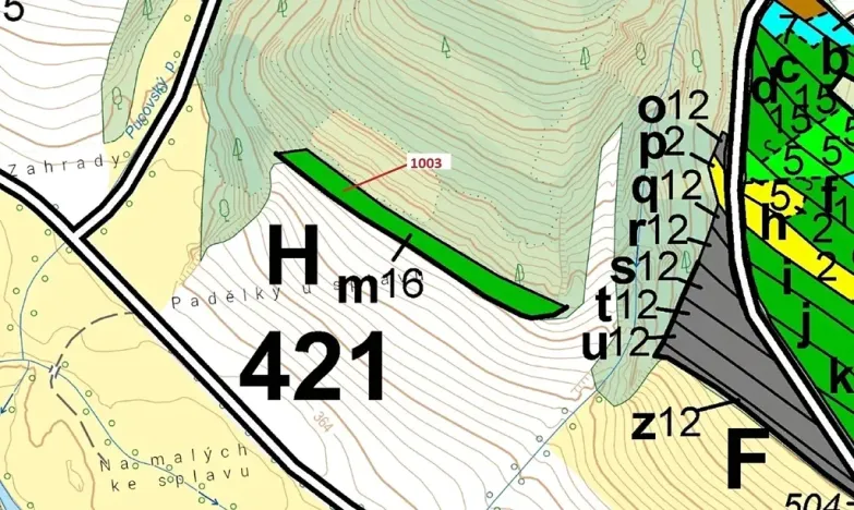 Dražba lesa, Náměšť nad Oslavou, 3001 m2