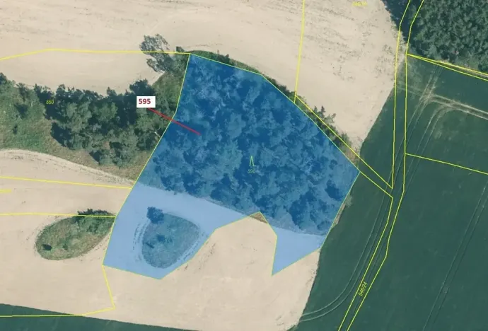 Dražba lesa, Manětín, 4801 m2