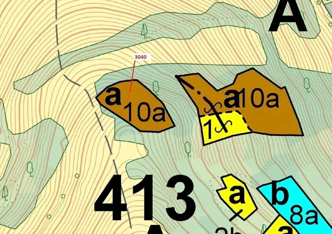 Dražba lesa, Zděchov, 2428 m2