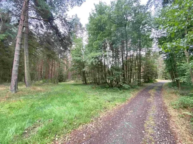 Dražba pozemku, Kladruby, 1744 m2