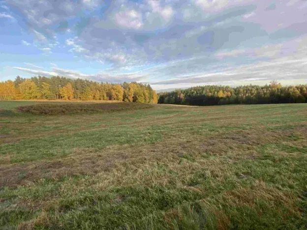 Dražba louky, Cvikov, 7470 m2