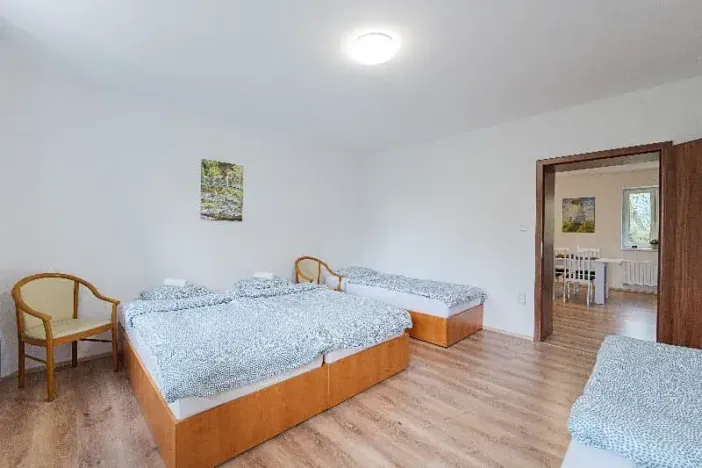 Pronájem apartmánu, Ostrava, Riegrova, 300 m2