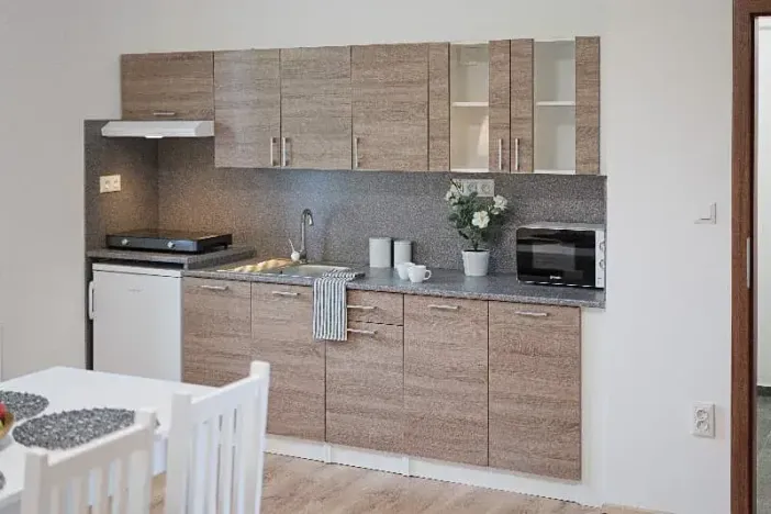 Pronájem apartmánu, Ostrava, Riegrova, 300 m2