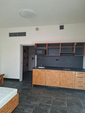 Pronájem bytu 1+kk, Praha, Pod altánem, 31 m2