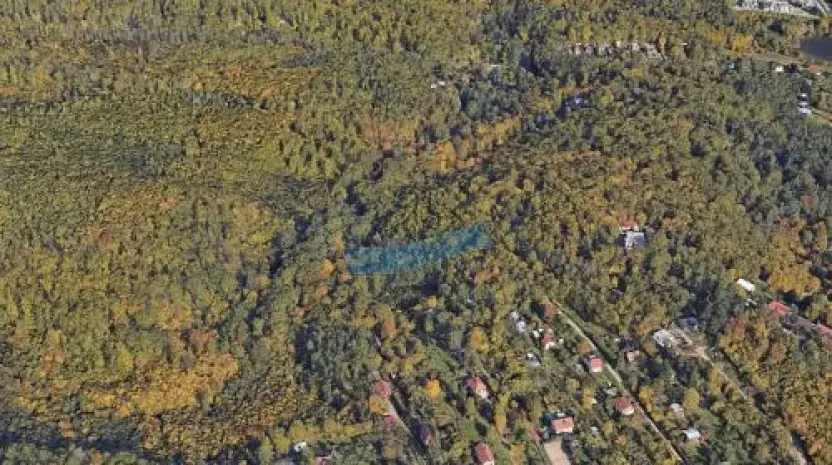 Prodej podílu lesa, Brno, 431 m2