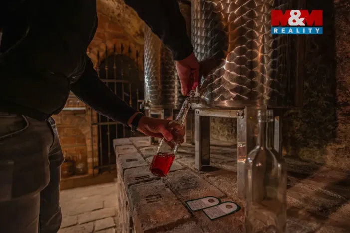 Prodej vinného sklepa, Chvalovice, 62 m2