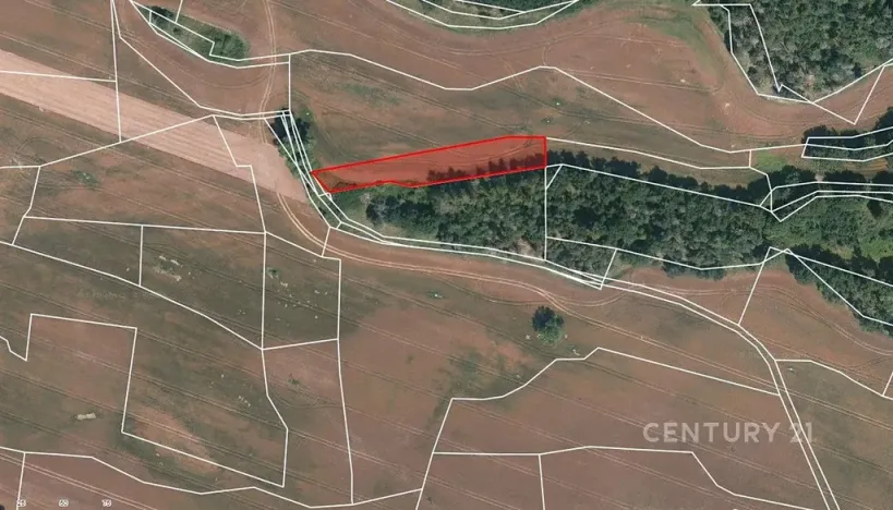 Prodej pole, Střelské Hoštice, 32521 m2