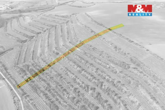 Prodej pole, Morkůvky, 2424 m2