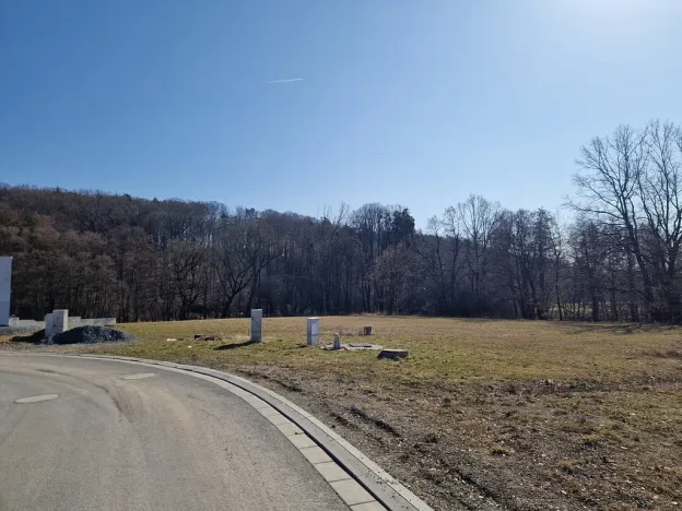 Prodej pozemku, Velká Polom, Okružní, 6038 m2