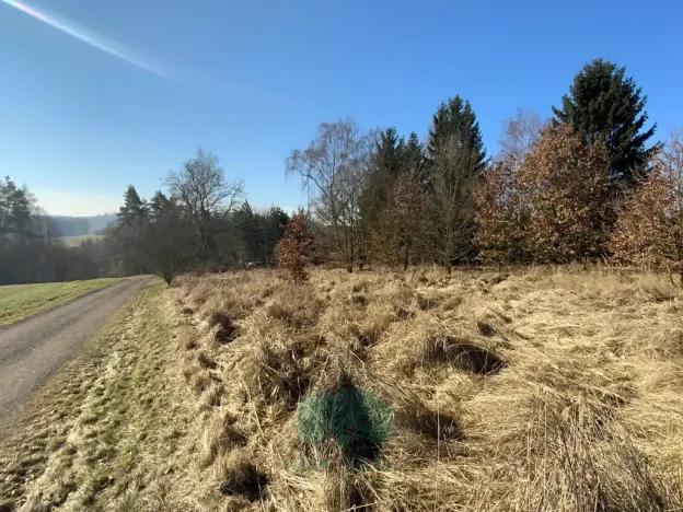 Prodej pozemku pro bydlení, Postupice, 1868 m2