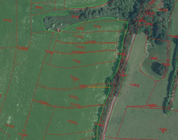 Prodej pole, Bělá nad Radbuzou, 174301 m2