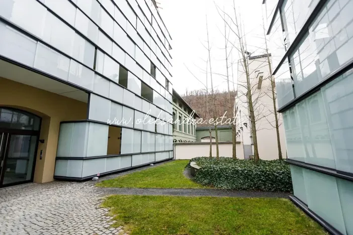 Pronájem bytu 2+kk, Praha - Karlín, Šaldova, 51 m2