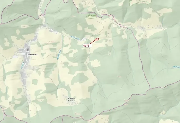 Dražba lesa, Zděchov, 216 m2