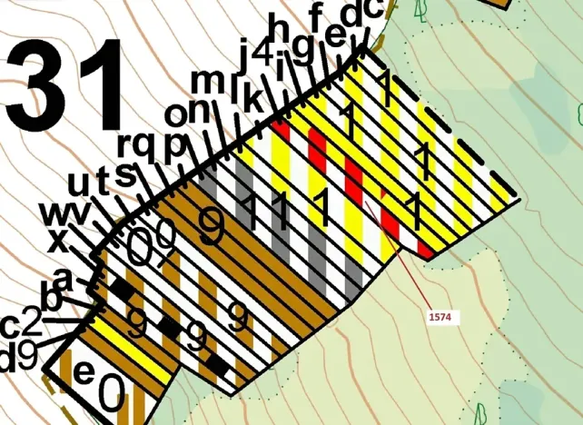 Dražba lesa, Březník, 885 m2