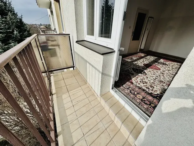 Prodej bytu 1+1, Bílovice nad Svitavou, Polanka, 31 m2