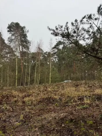 Prodej lesa, Libotenice, 17863 m2