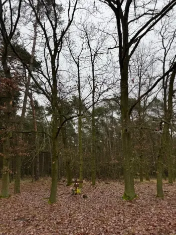 Prodej lesa, Libotenice, 17863 m2