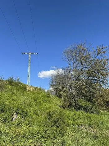 Prodej lesa, Žďárek, 11675 m2